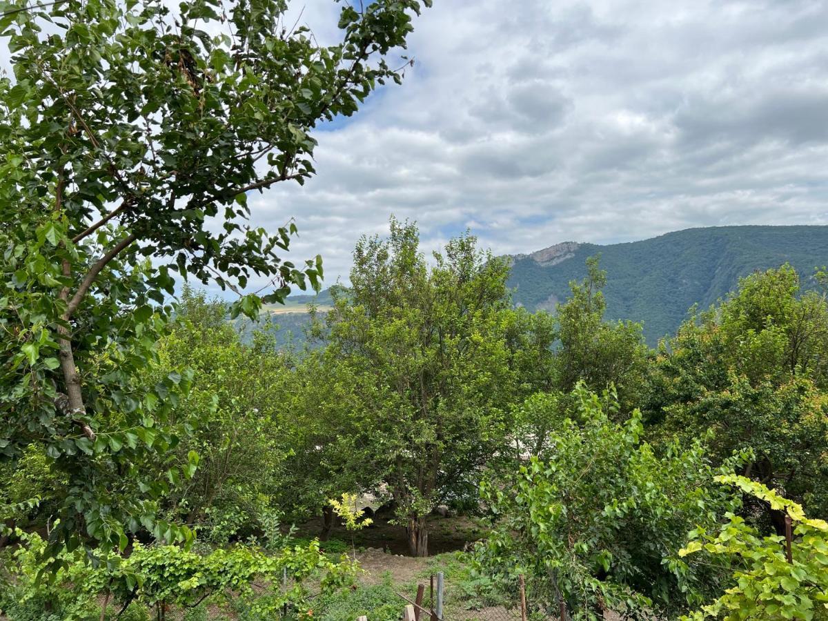 Arman Bed And Breakfast Halidzor Exteriör bild